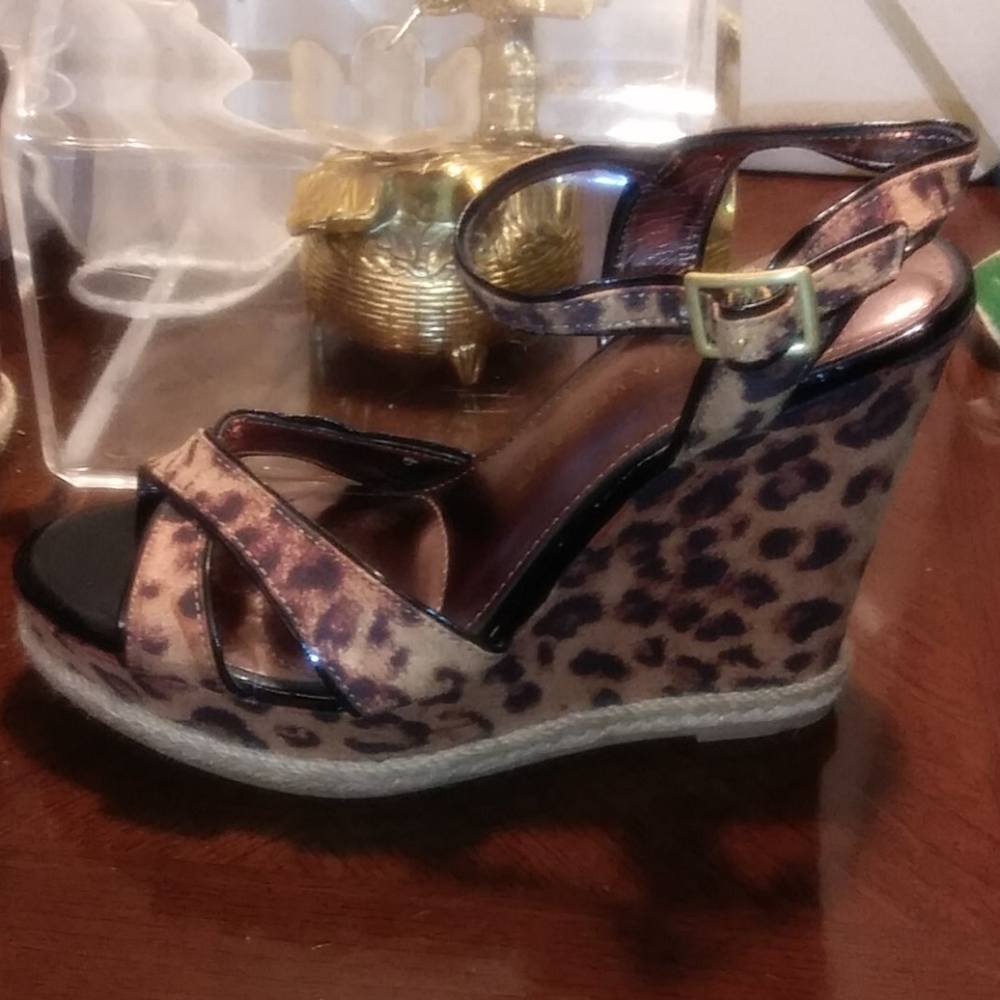 Sofia Vergara - image 2